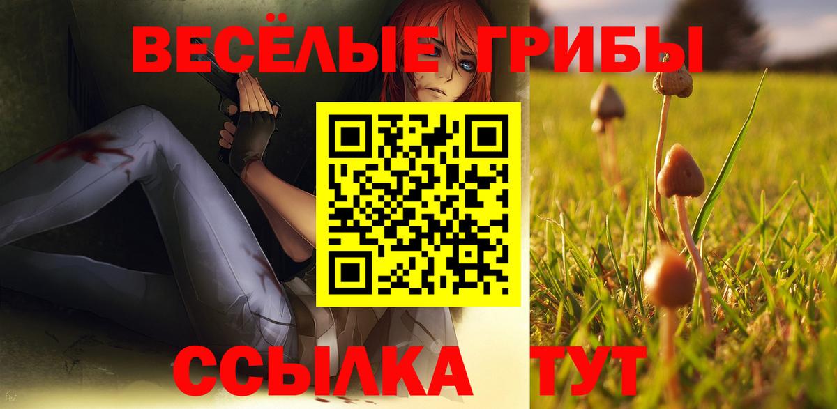 Галлюциногенные грибы прущие грибы Красноярск