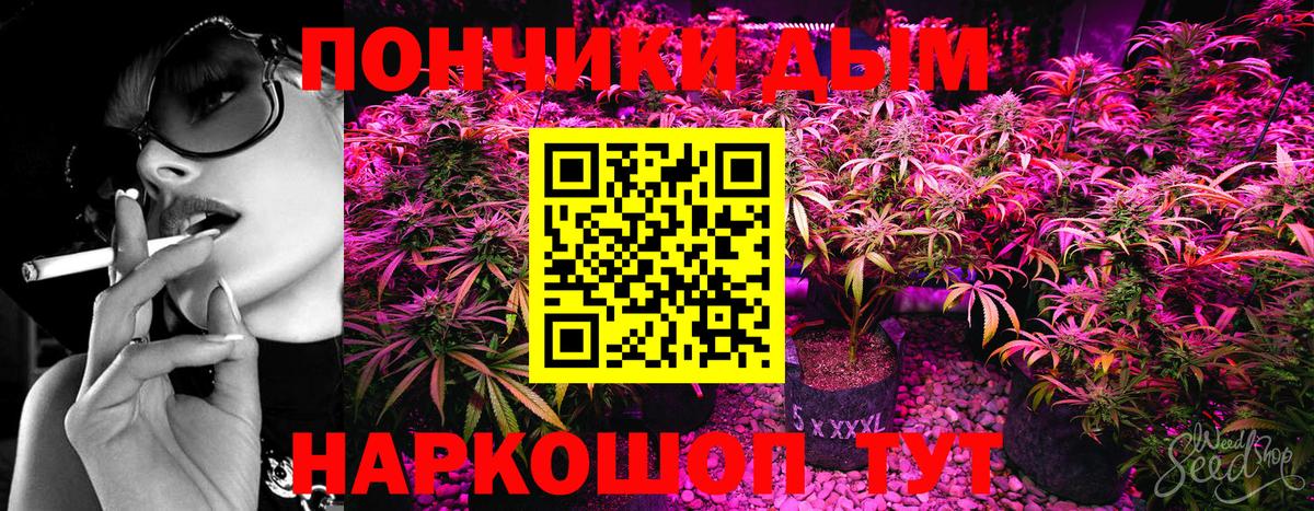 Красноярск  Бошки марихуана план  Вход с VPN  Марихуана MAZAR  Бошки марихуана SATIVA & INDICA 